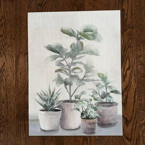 Potted Plants Wall Art Canvas